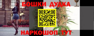 дмт Славгород