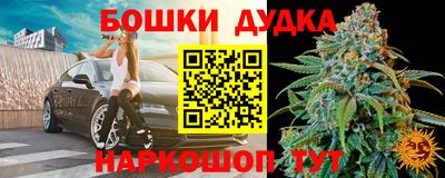 дмт Славгород