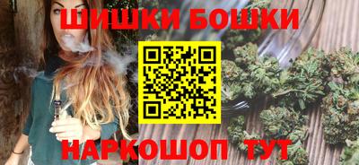 дмт Славгород