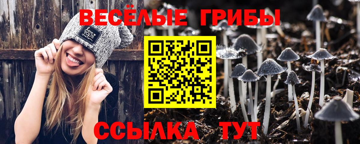 Псилоцибиновые грибы ЛСД Октябрьский
